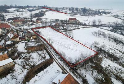 FILM! 2.660 mp intravilan,un colt de liniste, recomandat rezidential investition - 7