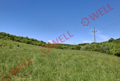 De vânzare teren intravilan de 30 000 m² (3 ha) în Reghin - 11