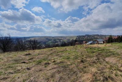 Teren intravilan | vanzare | 2745 mp | Feleacu - 5