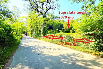 TEREN INTRAVILAN PROVITA DE SUS VALEA BRADULUI JUD PRAHOVA - 4