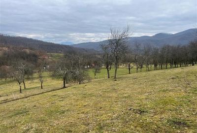 Teren intravilan si extravilan Luncoiu de Jos - 4