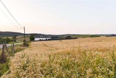 RECO Teren intravilan pentru casa 1000 mp Lazareni - 11
