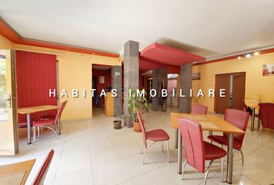 Casă individuală cu 14 camere în Gruia