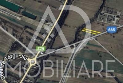 Teren intravilan 1160 mp – Ideal pentru investiție sau locuință - 5