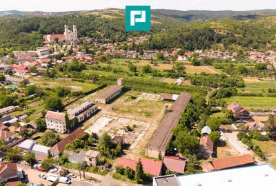 Spațiu industrial cu Teren 13.072 mp în Lipova - 11