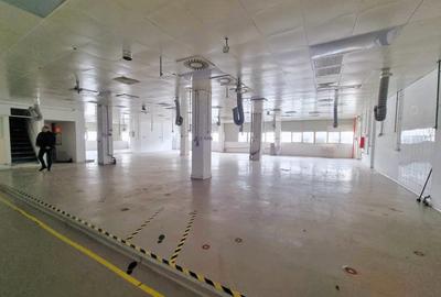 Spatiu industrial Dristor - Kaufland Mihai Bravu - 1