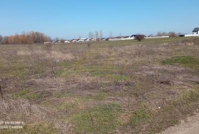 Teren  intravilan 465mp Str Lebedelor Comuna Berceni - 2