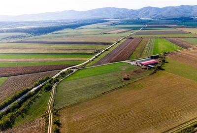 FILM! Zona extinsa, teren mixt,18.000 mp, ideal agro-investitii, Rotbav, Brasov - 9