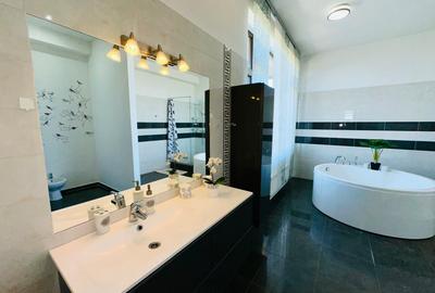 Aleea Privighetorilor- Penthouse 833 mp utili mobilat complet 3600 Euro + TVA - 17