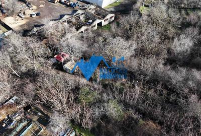 Teren intravilan BIDIDIA, zona deosebita, 550MP - 3