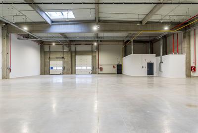 4646 mp - Hala industriala de inchiriat in Parc Industrial Arad - 13