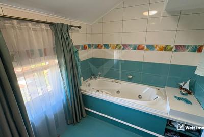Vila superba in Andrei Muresanu, dotari de lux, piscina si SPA, 865 mp teren ! - 12