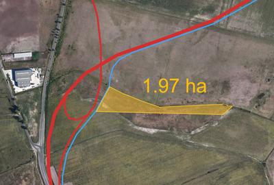 Teren privat de vânzare în Timișoara - 1