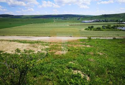 Oportunitate ! Teren intravilan 650 mp, Calea Romanului, Piatra Neamț - 12