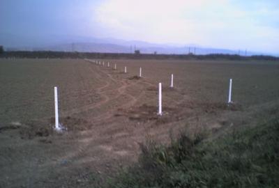 Teren Construcții intravilan de 10800 mp, în Industrială - 3