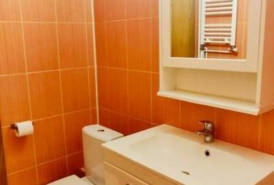 De inchiriat 2 camere decomandat, vedere Dambovita, 2 AC,  Unirii - Timpuri Noi - 10
