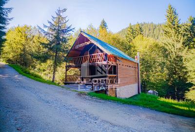 Pensiune, casa de vacanta, 6 camere, statiunea Rausor din Hunedoara - 27