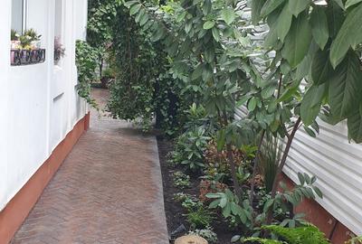 Vila desebita-POPA NAN- O oaza de liniste si verdeata in centrul orasului. - 16