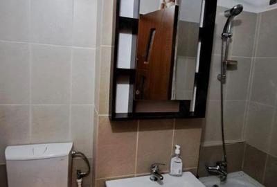 Închiriere Garsoniera centrala proprie, AC, 4 min metrou 1 Decembrie - 3