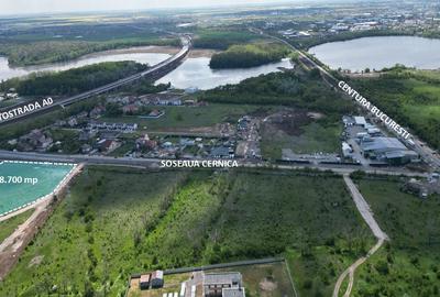 ORAS PANTELIMON-CERNICA 18.700 mp - A0 - DNCB - intravilan - 1