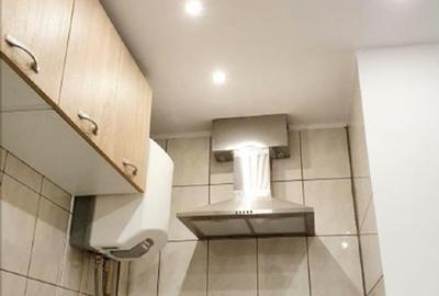 2 camere Cismigiu - Sala Palatului - 12