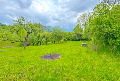 Teren 1500mp, intravilan cu utilitati, in proximitatea complexului Vila Bran - 5