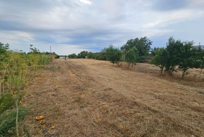 Vanzare Teren Buftea | Crevedia | Samurcasi | Iesire catre LAC - 10