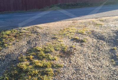 Teren Construcții intravilan de 1100 mp, în Dângău Mare