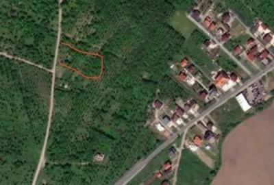 Teren în livadă scpp - 2