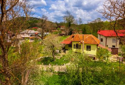 Provita de Sus, Prahova, Casa renovata, Comision 0 % - 33