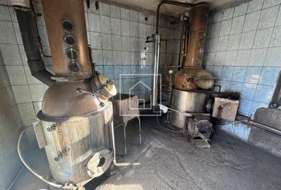Teren cu cladiri productie alcool si gater – functional – Cisnadie - 2