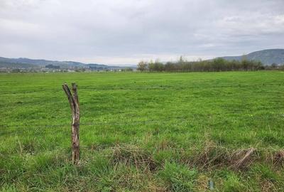 Vand teren - 3