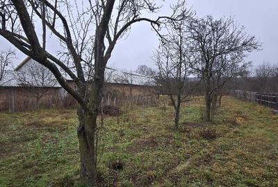 Casa si teren de vanzare Poienari - Bumbesti Pitic - 11