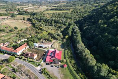 Sala de evenimente în inima naturii - 25