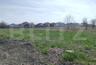 Teren Construcții intravilan de 500 mp, în Brestei