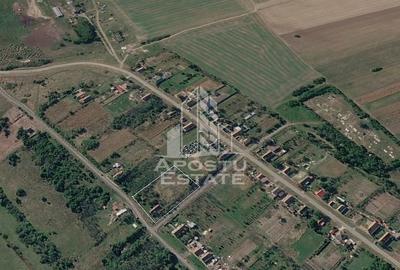 Teren intravilan pentru investitie, 2896 mp, Herneacova Timis - 1