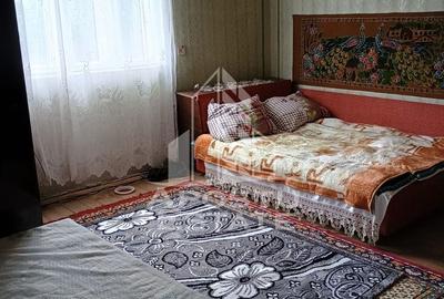 Casa batraneasca de vanzare, 4 camere, in Hunedoara, sat Micanesti - 17