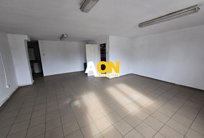 Hala 2750mp Utili Zona Centrala, 2800mp Teren - 17