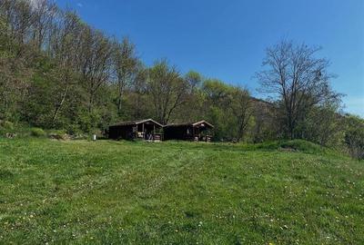 Transilvania Camping, domeniu de 14.400mp,Sanmarghita de Mures:2cladiri, apartam - 20