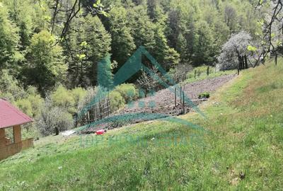 Cabana cocheta de vanzare cu teren generos 3000 mp, Baisoara! - 9