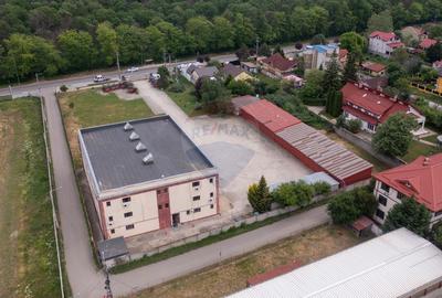 Oportunitate de investitie-vanzare spațiu industrial 6500mp, Cernica - 7