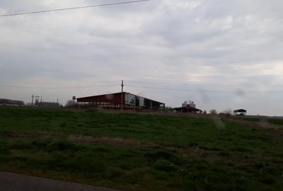 De vanzare Ferma Vaci - 15