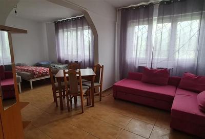 Cazare muncitori garsoniere/apartamente la curte in Vladimirescu - 15
