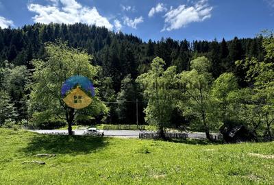 Teren 11557 mp comuna Ceahlau - 8