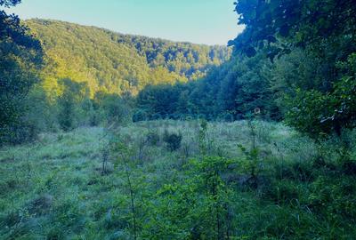 Teren de 1000 mp intravilan,Valea Finisului,Bihor - 1