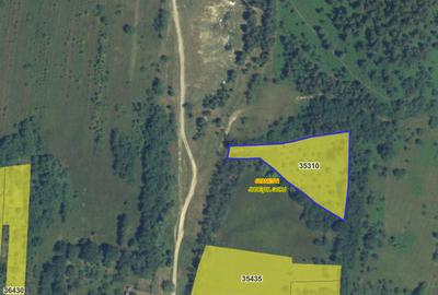 Teren extravilan de vânzare – Stănești, 3.861 mp, livadă de cireși - 7