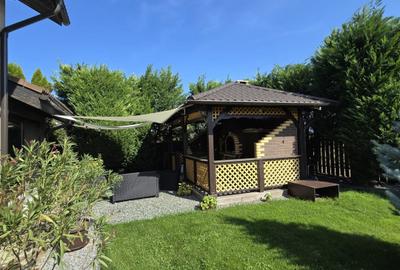 Casa de Vis, Serbanesti - 4