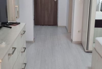 Titan , Parcul Teilor , Str Drumul Gura Siriului - 12