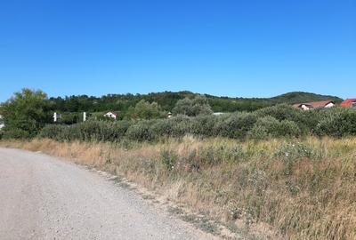 Teren plat, intravilan, zona rezidentiala in Corunca. Ideal pentru investitor - 3
