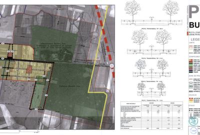 Teren intravilan construibil 1.136 mp în Bazoșu Nou (lângă Parcul Dendrologic) - 2